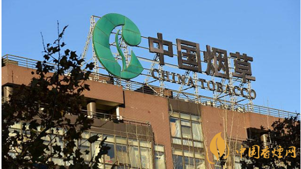 香煙漲價(jià)最新消息2020：香煙漲價(jià)真的能控?zé)焼?>
                                    <span>香煙漲價(jià)最新消息2020：香煙漲價(jià)真的能控?zé)焼?/span>
                                    <p>現(xiàn)在我國(guó)煙民的基數(shù)在不斷增大，而且有越來(lái)越多的青少年加入吸煙</p>
                                </a>
                            </li>
                                                                                </ul>
                    </div>

                </div>
            </div>
        </div>
    </div>

    
<link rel=