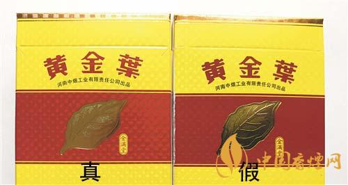 如何辨別黃金葉金滿堂真假？2020黃金葉真假辨別詳情對(duì)比