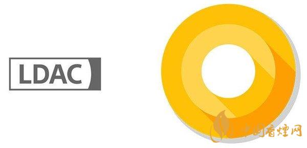 小米11支持ldac 小米11支持無線充電嗎