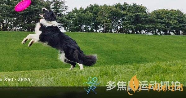 vivox60拍照評(píng)測 vivox60值得入手嗎