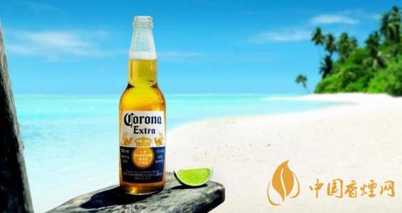 科羅娜啤酒多少錢一瓶 科羅娜啤酒批發(fā)價格表