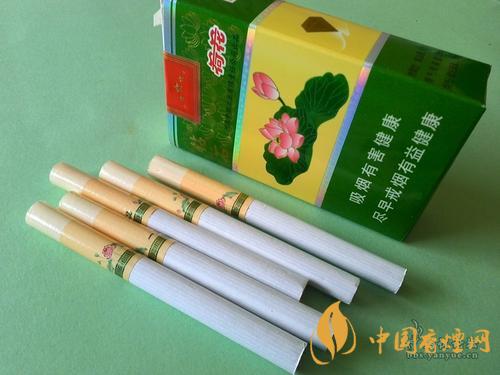 鉆石一品荷花價(jià)格2025 鉆石一品荷花怎么樣