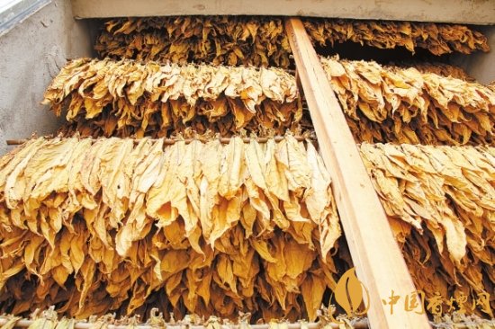 煙葉稅是什么，煙葉稅如何計算