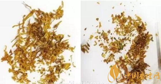 冬蟲夏草（和潤）真假鑒別，春節(jié)防止被騙