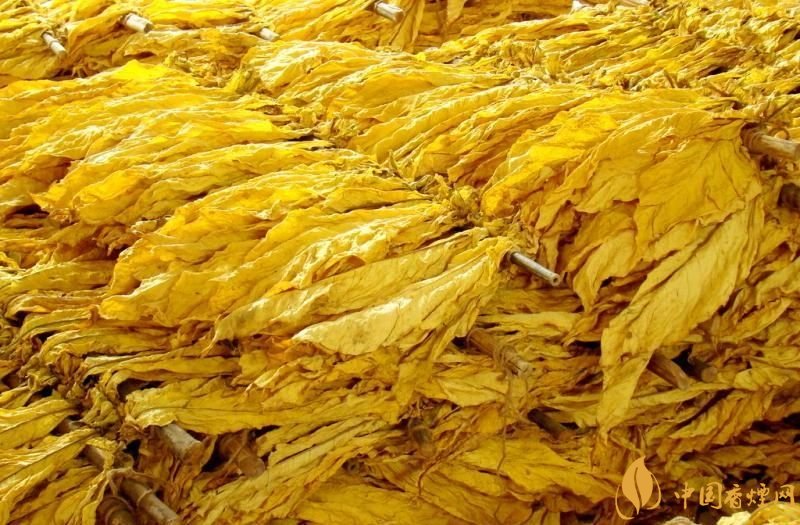 朱砂煙到底是什么煙，云煙朱砂煙有哪幾款