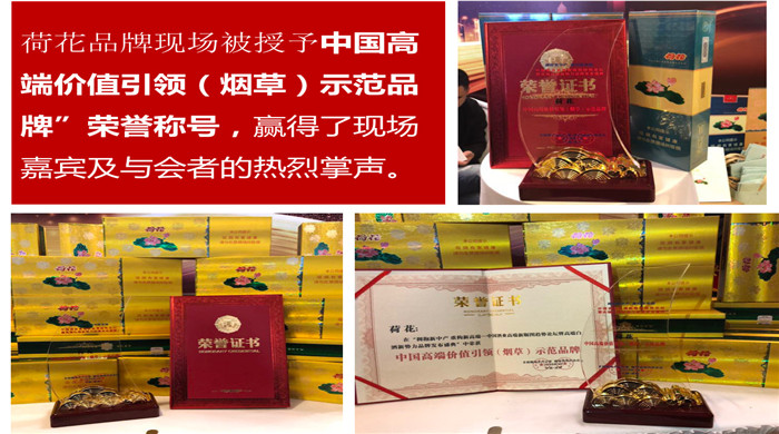 2018荷花煙問鼎新高端荷花獲得榮譽稱號四點成功因素
