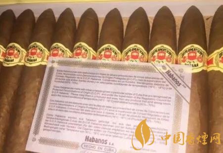 外交官魚雷雪茄圖片及口感評測 名聲不大但口感不錯的雪茄！