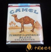 無嘴駱駝（美國免稅）最新價(jià)格介紹及口感評測